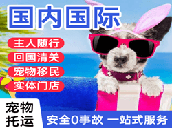 兰旗机场物流国际宠物托运 【国